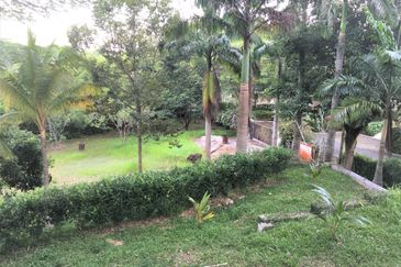 Leisure Farm, Merbok Springs