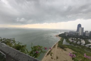 Forest City, Nigella Park, Duty Free Island