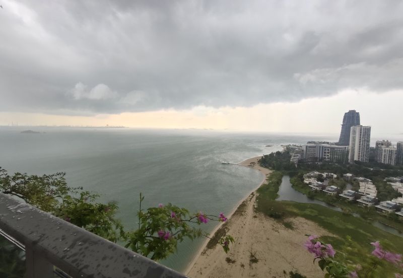 Forest City, Nigella Park, Duty Free Island