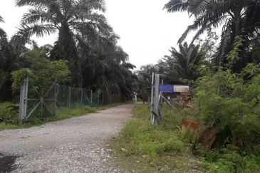 Agriculture Land to Sale @ Kuala langat Selangor