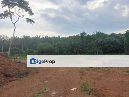 Premium Agricultural Land Sale @ Rent Pedas Rembau, Negeri Sembilan, Rembau