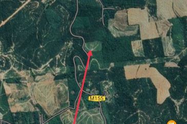 Agriculture Land for Sale at Brisu, Alor Gajah Melaka