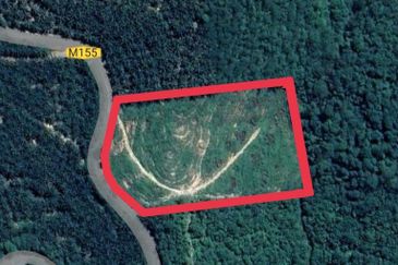 Agriculture Land for Sale at Brisu, Alor Gajah Melaka