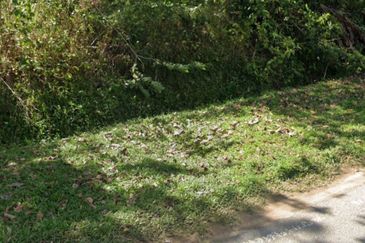 Agriculture Land for Sale at Sungei Siput, Alor Gajah Melaka