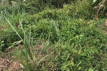 Bungalow Plot for Sale at Kg Baharu Labu Lanjut, Sepang 