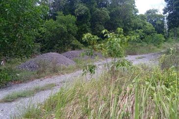 Prime Land for Sale in Pekan Pahang  . • Leasehold Rizab Melayu