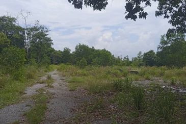 Prime Land for Sale in Pekan Pahang  . • Leasehold Rizab Melayu