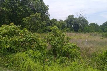 Prime Land for Sale in Pekan Pahang  . • Leasehold Rizab Melayu