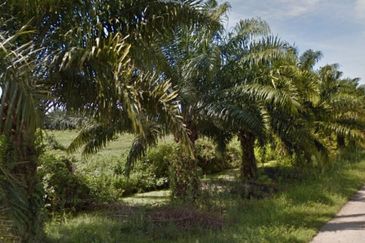Agriculture Land Within Industrial Zone in Jalan Maharajalela, Jeram