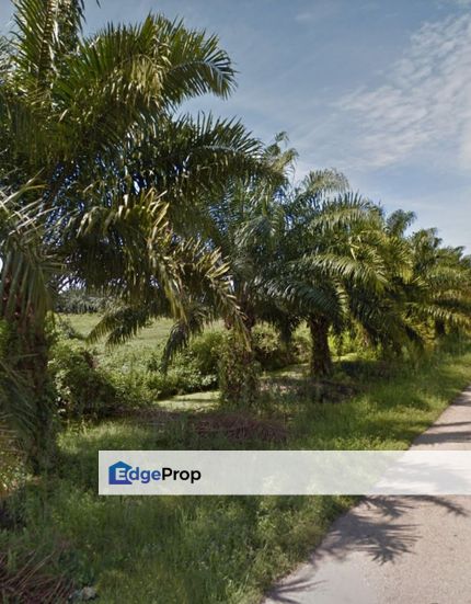 Agriculture Land Within Industrial Zone in Jalan Maharajalela, Jeram, Selangor, Jeram