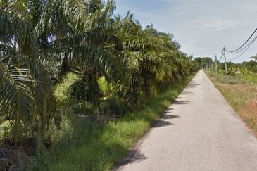 Agriculture Land Within Industrial Zone in Jalan Maharajalela, Jeram