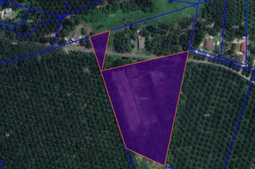 Agriculture Land Kampung Batang Rokan Gemencheh Negeri Sembilan