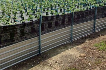 Agriculture Land Kampung Batang Rokan Gemencheh Negeri Sembilan