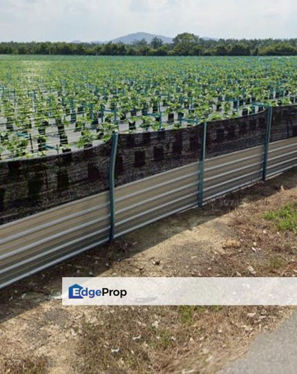 Agriculture Land Kampung Batang Rokan Gemencheh Negeri Sembilan, Negeri Sembilan, Gemencheh