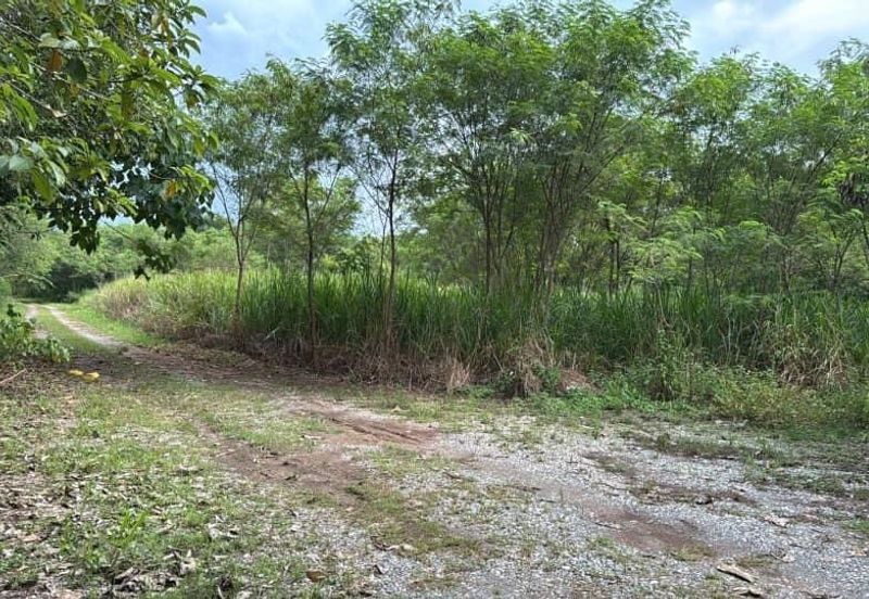 Industrial Land for Sale in Arau Perlis
