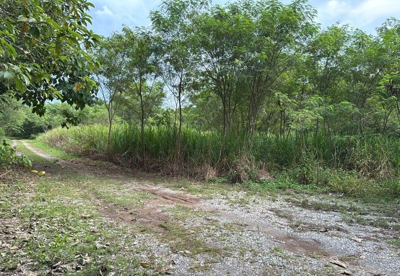 Industrial Land for Sale in Arau Perlis