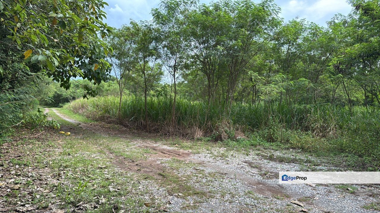 Industrial Land for Sale in Arau Perlis, Perlis, Arau