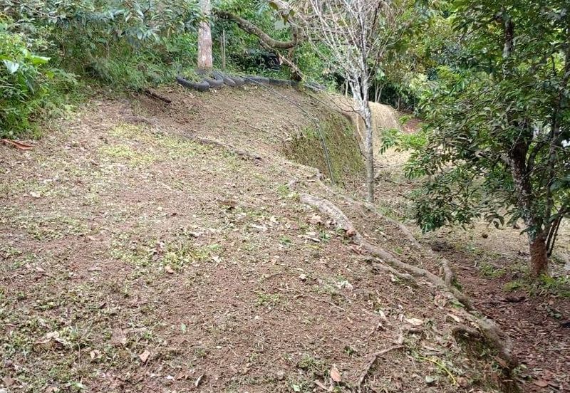 Malay Reserve Land Rembau, Negeri Sembilan For Sale