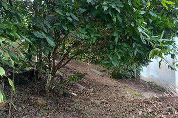 Malay Reserve Land Rembau, Negeri Sembilan For Sale