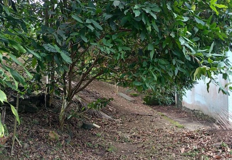 Malay Reserve Land Rembau, Negeri Sembilan For Sale