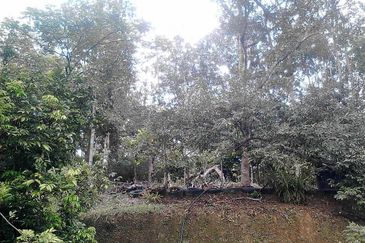 Malay Reserve Land Rembau, Negeri Sembilan For Sale