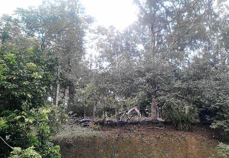 Malay Reserve Land Rembau, Negeri Sembilan For Sale