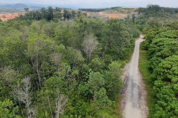 Premium Land Jalan Broga Semenyih For Sale