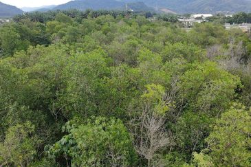 Premium Land Jalan Broga Semenyih For Sale