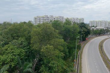 Premium Land Jalan Broga Semenyih For Sale
