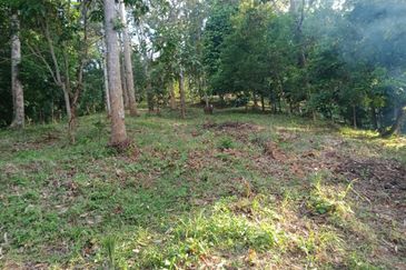 Beautiful Orchard Land for Sale in Ulu Melaka, Langkawi