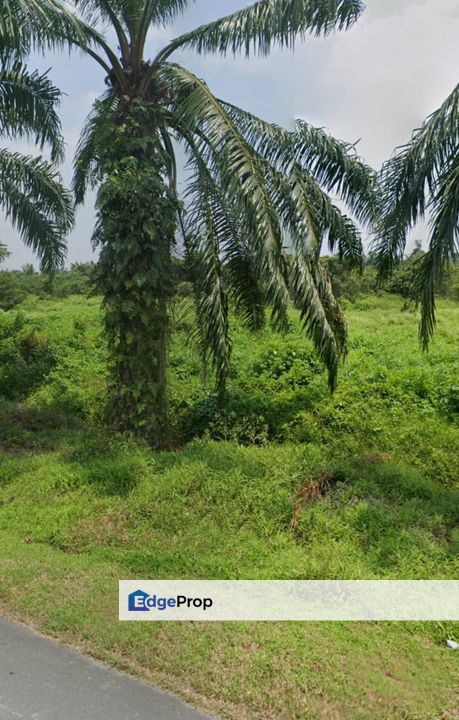 Malay Reserve Industrial Land Jalan Maharajalela Jeram For Sale, Selangor, Jeram