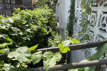 Jalan Taman Ibu Kota