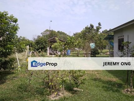 Agriculture Land, Kg Sg Pelepah, Kota Tinggi, Johor, Johor, Kota Tinggi