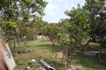 Agriculture Land, Kg Sg Pelepah, Kota Tinggi, Johor