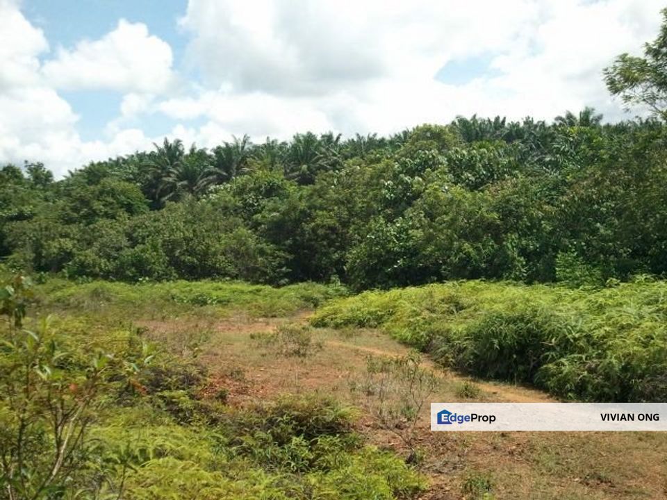 Taman U Thant , Ampang Hilir , KLCC, Kuala Lumpur, Kuala Lumpur, KL City