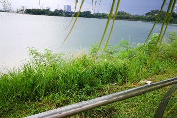 Taman Tasik Puchong
