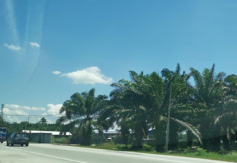 Development or residential Land, Sungai Pelek, Sepang, Selangor