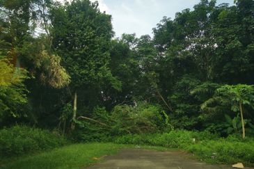 Pulau Meranti ( Industrial )