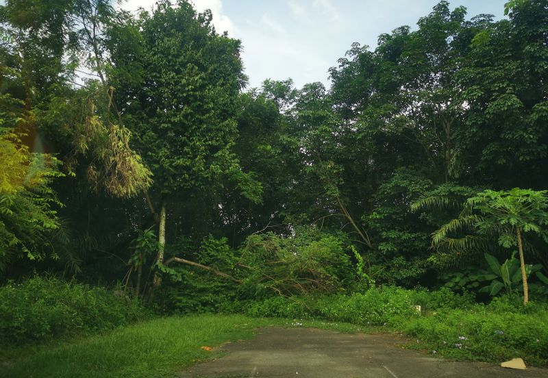 Pulau Meranti ( Industrial )