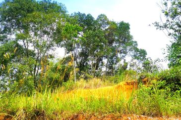 Pulau Meranti ( Industrial )