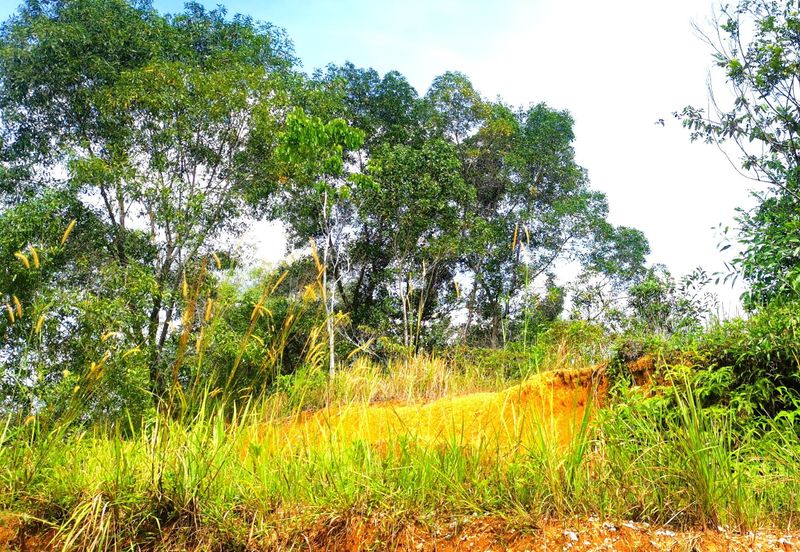 Pulau Meranti ( Industrial )