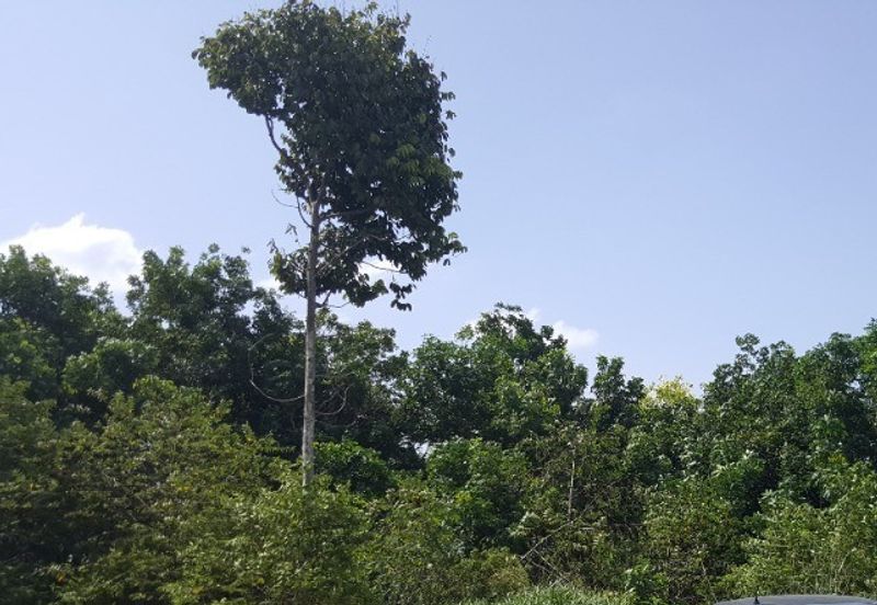 Taman Perindustrian Meranti Jaya