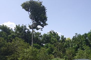 Taman Perindustrian Meranti Jaya