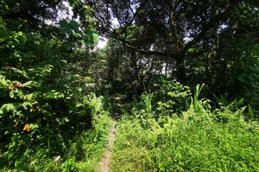 Semenyih Integrated Industrial Park