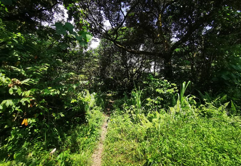 Semenyih Integrated Industrial Park