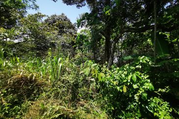 Semenyih Integrated Industrial Park