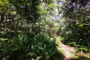 Semenyih Integrated Industrial Park