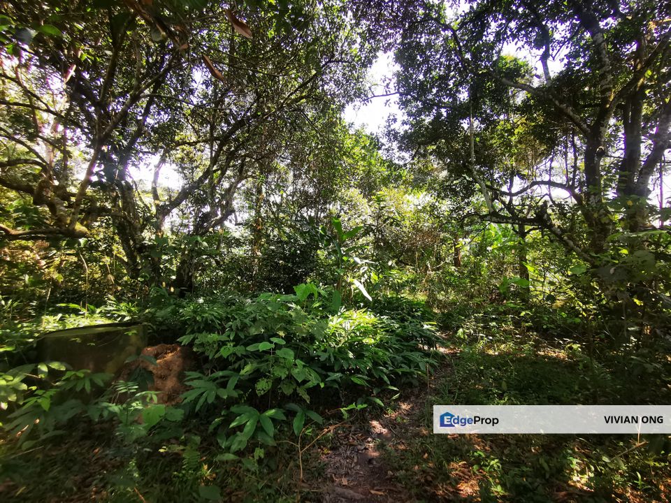 4.5 acres, Industrial land, Freehold, Semenyih, Easy Access, Hi Tech , Kajang, Selangor, Selangor, Semenyih