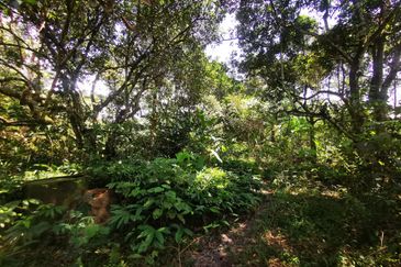 Semenyih Integrated Industrial Park