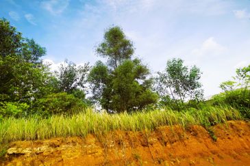 Taman Perindustrian Meranti Utama